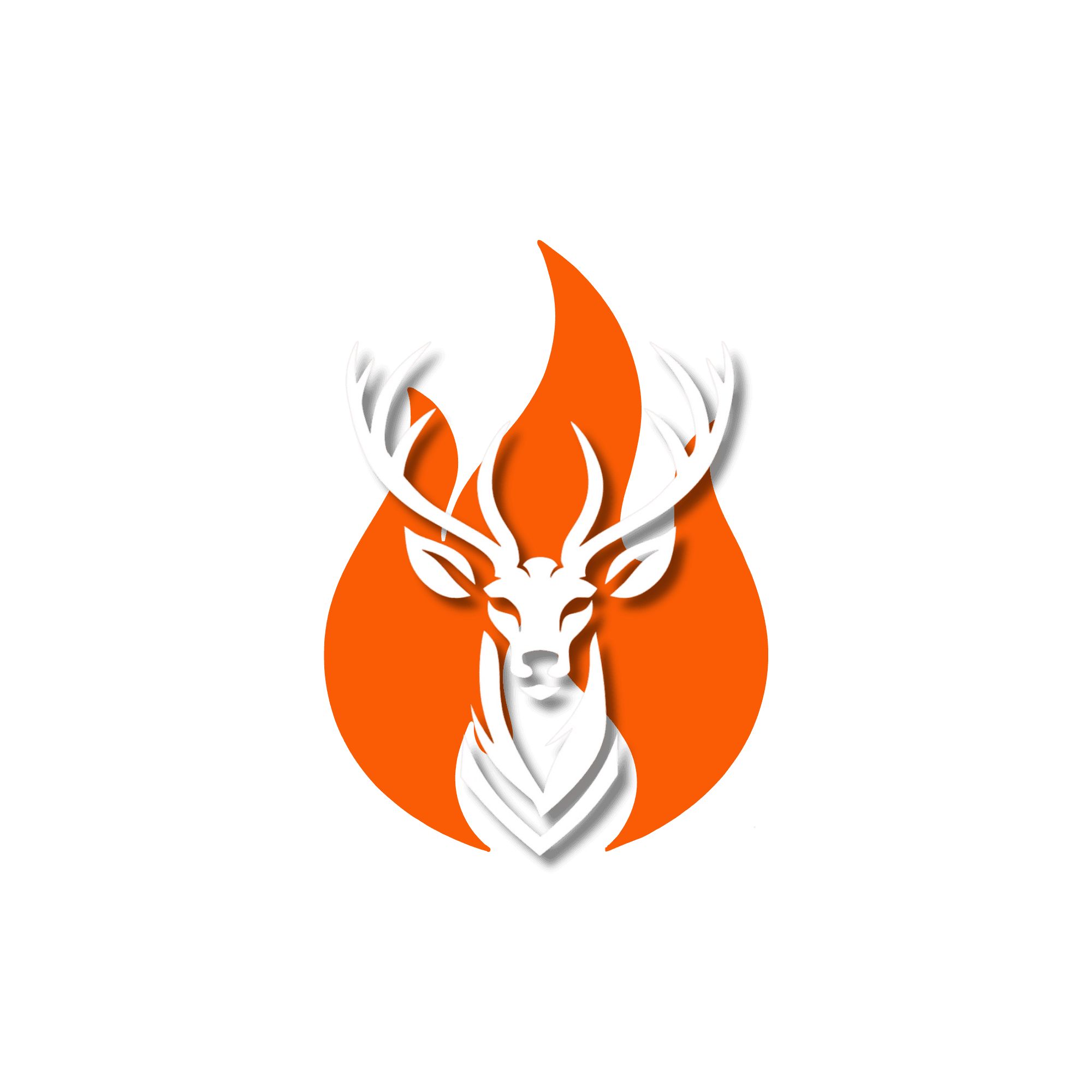 BONFIRE BASE OFFICIAL WEBSITE